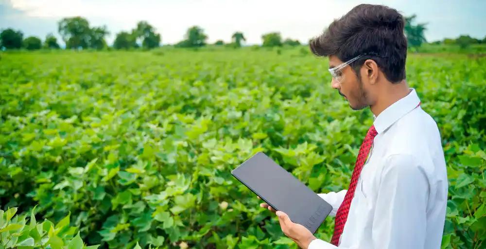 MBA in Agri-Business Management: 2024 Guide