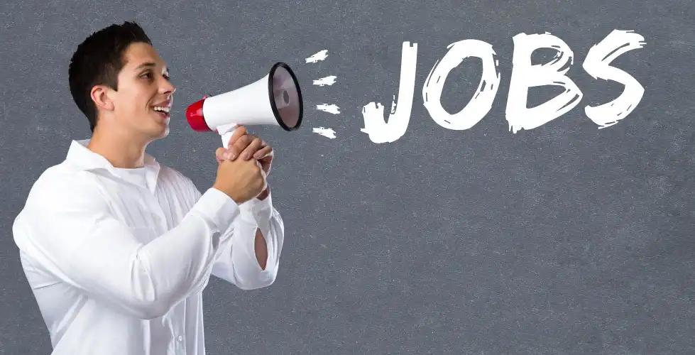 Top 10 Best Job Opportunities in India: Hottest Jobs 2024