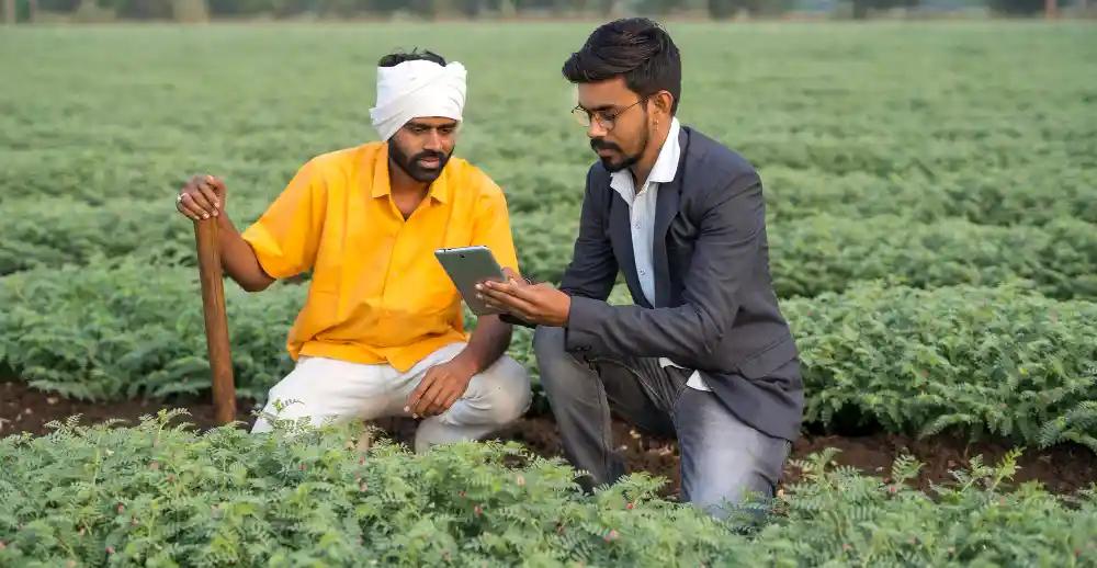 Online MBA in Agri-business: Complete 2024 Guide