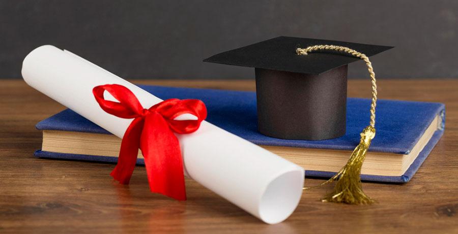 Degree or Diploma: Which Is Right for Your Career Path?