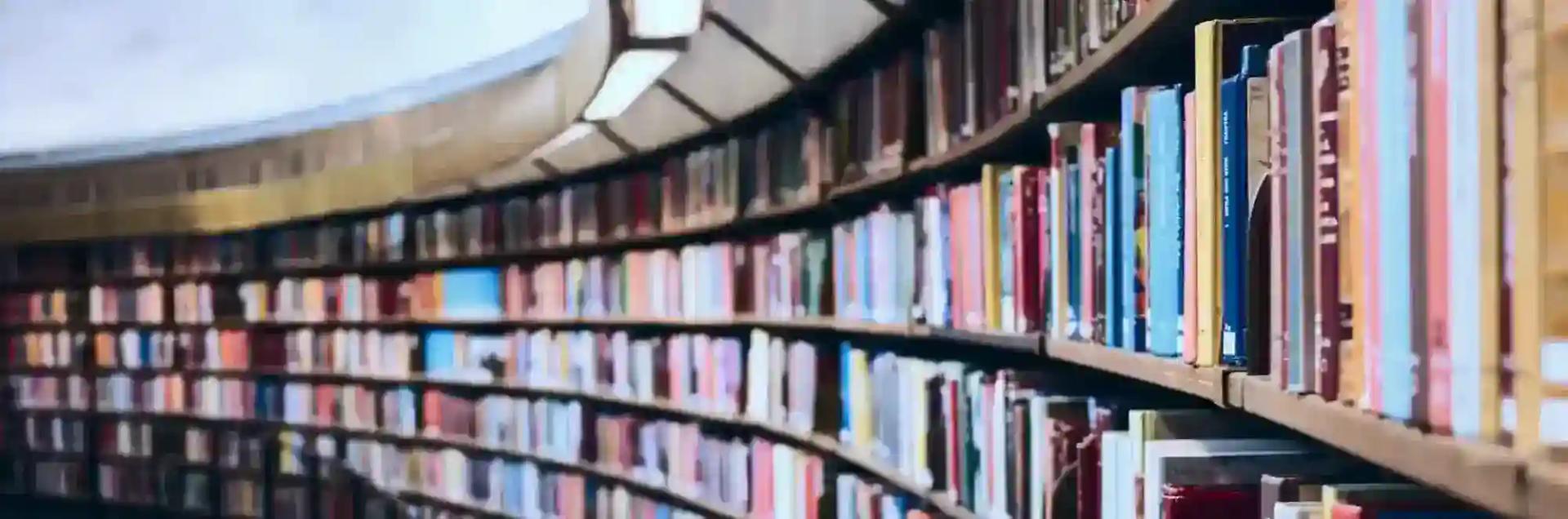 Top 10 Online/Distance BBA Colleges in India