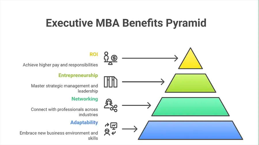 Why Should You Do an Executive MBA